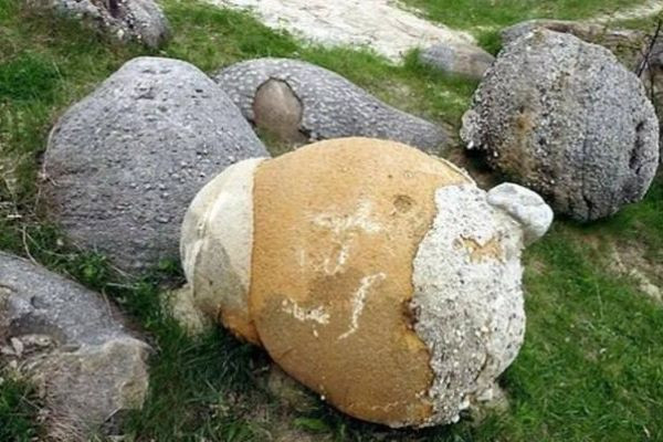 Mysterious stones from Romania that grow and move.
