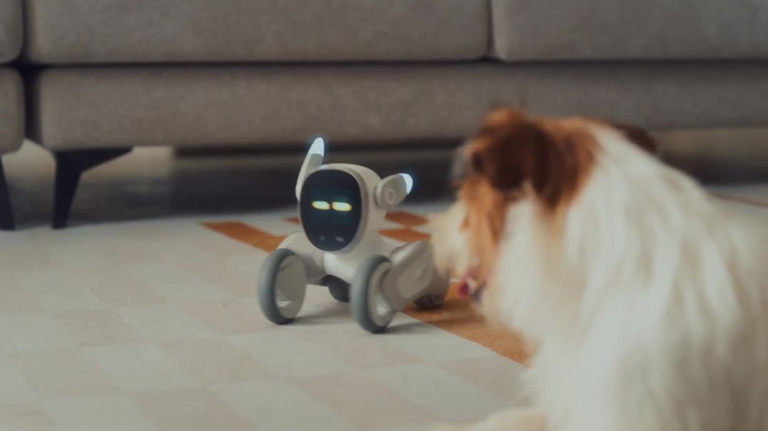 Loona Robot: Loona is an intelligent robot created for companions