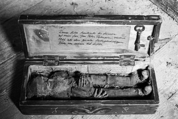 Mummified body of a Swedish brownie, 1866.