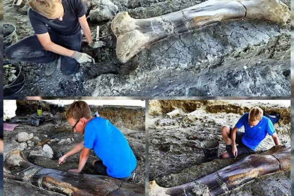 Archaeologists found a giant bone