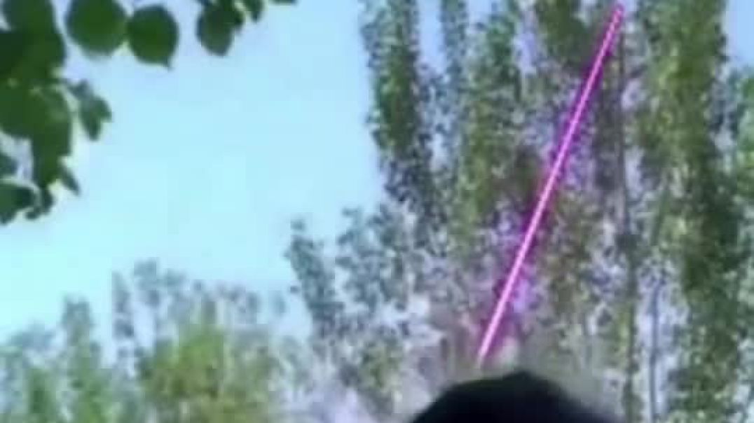 ⁣In China they are now shooting lasers at trees